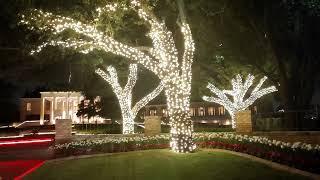 River Oaks Christmas Lights