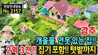 (강추) 개울물과 연못 있는 집!! 모든 집기 포함 전원주택 매매 청정 숲속 텃세 걱정 없어요 다양한 작물 재배 가능 텃밭 휴양 요양 힐링 위한 세컨 홍천부동산 - 발품부동산TV