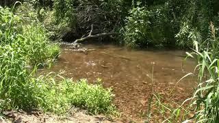 Klares Fließendes Wasser & Wassergeräusche  Entspannung  Erholung  Relaxing  Bildschirmschoner