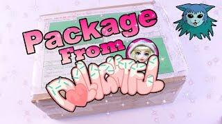 Unboxing! | Dollightful  Package from South korea!