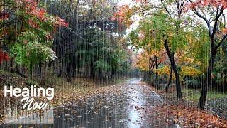 The Magical Sound of Rain Falling Asleep - Sleep Instantly. White Noise for a Relaxing Time