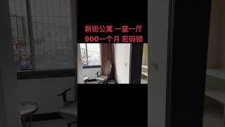 新街旁900一个月的电梯公寓单间 一室一厅一厨一卫的房子