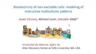 "Bioelectricity of Non-Excitable Cells" by Javier Cervera, Michael Levin, and Salvador Mafe