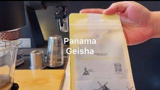 How to Brew Coffee Using 4:6 Method | Panama Geisha