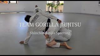 20220828 ShinChonGorilla Sparring : Black (1Round), Brown (1Round), Purple (2Round), Blue (1Round)