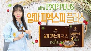 𝗘𝗕𝗖 [써니의 제품데이트] 영양과 맛의 균형! 알파 피엑스피 플러스로 활력 UP!~ / alfa PXP PLUS