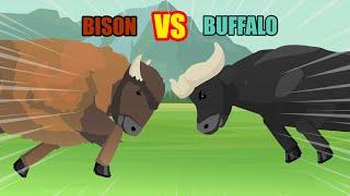 Bison vs Buffalo | Animal Tournament [S1] | Animal Animation