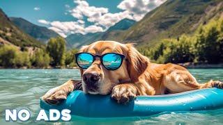 12 HOURS of Dog Calming Music For DogsAnti Separation Anxiety ReliefDeep Sleep Music