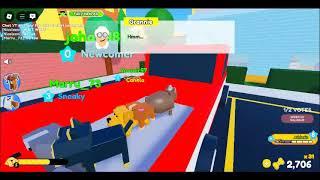 Roblox pet story part 1 (Halloween ending)