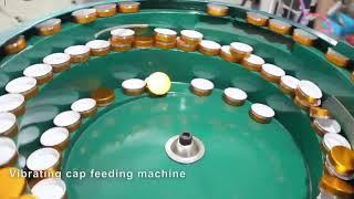 Automatic Filling + Capping + Labelling Machine