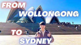 UOW | How to go to Sydney from Wollongong! #uow #wollongong #sydney #universityofwollongong