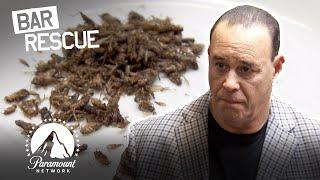 Peak GROSS Discoveries (Mold, Bugs & Filth)  Bar Rescue (Season 4)