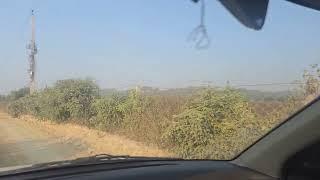 150 Acre land with 3 tubewell connection for sale in Hoshiarpur punjab 9316167007