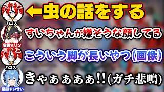 苦手な虫の話をされて嫌な顔&画像を見てガチ悲鳴をあげるすいちゃん【ホロライブ切り抜き/星街すいせい/宝鐘マリン/ハコス・ベールズ】