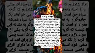 #آگاهی #بیداری #طلسم #گربه #اجنه #بیداری_معنوی #تغییر_باورها #مراقبه #جادوگری #اعتقادات #بیداری #عشق