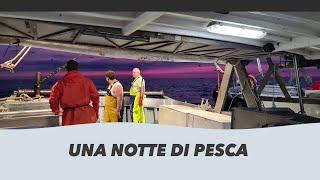 Una Notte di Pesca