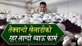 च्याऊ खेतिमा सफल बनेका सनिशको कथा: मासिक लाखौंको कारोबार | Mushroom Farming in Nepal | Sanish Lageju