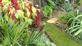 Springy's Exotic Garden Open Day 6th September 2014