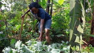 Backyard Gardening: Weeding and Garden Tour.