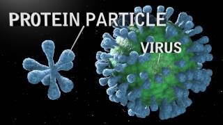 Scientific Animation Protein Sciences