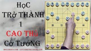 Hướng dẫn học cách chơi cờ tướng chi tiết và cách lập bố cục trận