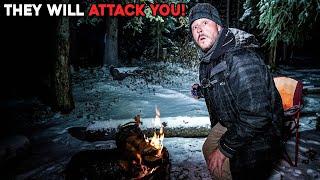 (THEY WILL ATTACK YOU!) IT WAS A MISTAKE CAMPING ALONE in the HAUNTED WOODS in a Snow Storm