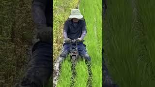 Japanese Agriculture/Best Technology’s/#Shots ￼