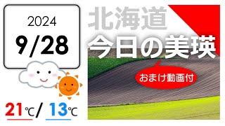 今日のびえい！北海道-美瑛町の風景を毎日発信中｜2024.9.28.