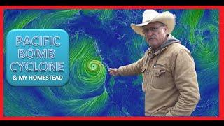 PACIFIC BOMB CYCLONE & My Homestead