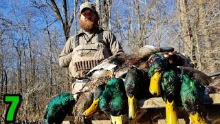 Public Land Duck Hunting at It's FINEST... MALLARDS EVERYWHERE