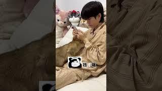 【牛奶是只猫】现眼包竟然把我当成他的妈妈了？？