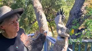 Martha Moran - Ojai Rock Stacker