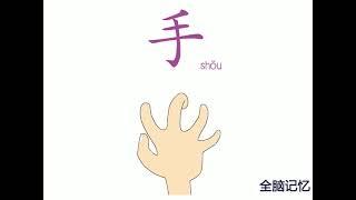 幼儿识字-手 Learning Chinese Character-hand