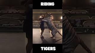 TONY RIDES MULTIPLE TIGERS #fercos #flyingfercos #pettiger