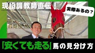 【調教師に聞く】脚が曲がっていてもOK!?”理想の歩様”と安くても走る馬を探す方法 byJAPANOZ中條調教師