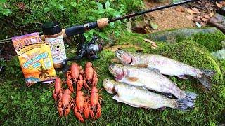 Crawfish and Trout Cookout on the Appalachian Trail!