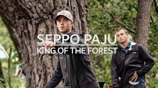 Seppo Paju Disc Golf highlights 2019 | King of the forest