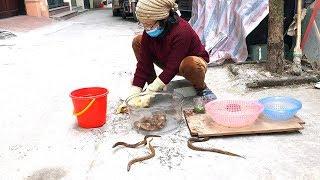 Graphic: Turn FRESH EEL into a meal - Vietnamese Street Food Recipe