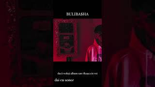 Rava - Bulibasha Snippet