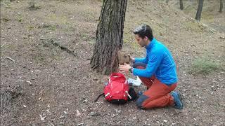 mochila de senderismo | trekking un dia