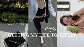 GETTING MY LIFE (back) TOGETHER: post-travel reset routine, summer prep, grocery haul