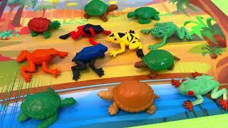 Interactive Learning Toys and Animals for Curious Kids