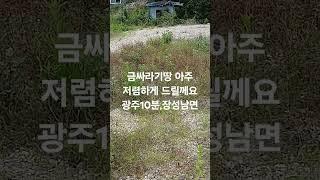 금싸라기땅 초저렴  광주 10분 장성 남면 200평