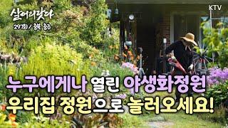 (살어리랏다)(297회) 야생화처럼 자유롭고 행복하게 삽니다 koreatv, wildflowers, garden, country life (충북 충주)