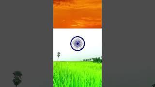 Indian flag /tiranga flag status#15august #15auguststatus