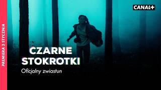 Czarne Stokrotki | Nowy serial CANAL+ | Od 3 stycznia