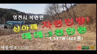 (No356)농막짓고 텃밭할수 있는 영천시 북안면 산아래 자연인땅!