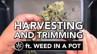 Harvesting and Trimming