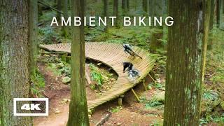 1 Hour of Mountain Biking – Relaxing Sounds of MTB