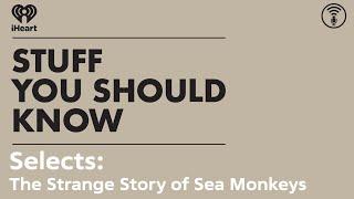 Selects: The Strange Story of Sea Monkeys | STUFF YOU SHOULD KNOW